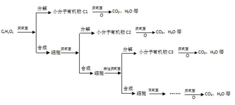 一體化生活廢水處理設(shè)備